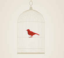 网络手机号在线发送