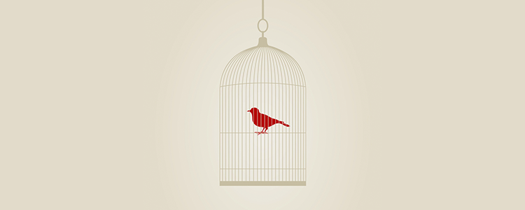 安全防护可靠的手机号短信轰在线轰炸免费软件